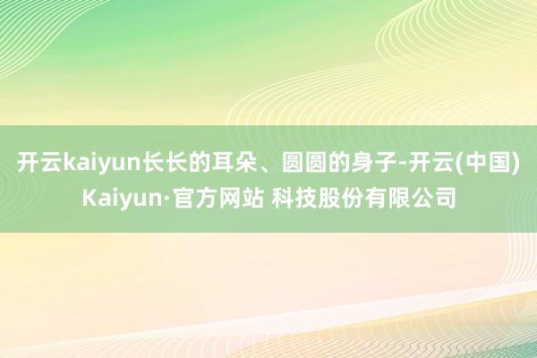 开云kaiyun长长的耳朵、圆圆的身子-开云(中国)Kaiyun·官方网站 科技股份有限公司