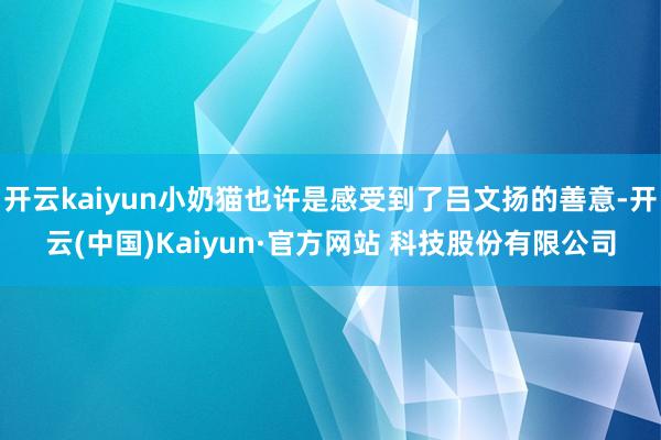 开云kaiyun小奶猫也许是感受到了吕文扬的善意-开云(中国)Kaiyun·官方网站 科技股份有限公司