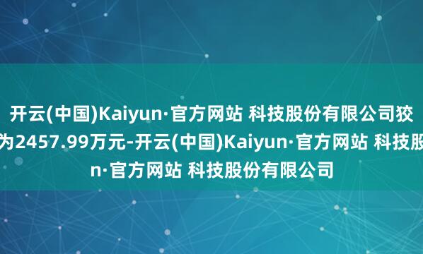 开云(中国)Kaiyun·官方网站 科技股份有限公司狡计成交金额为2457.99万元-开云(中国)Kaiyun·官方网站 科技股份有限公司