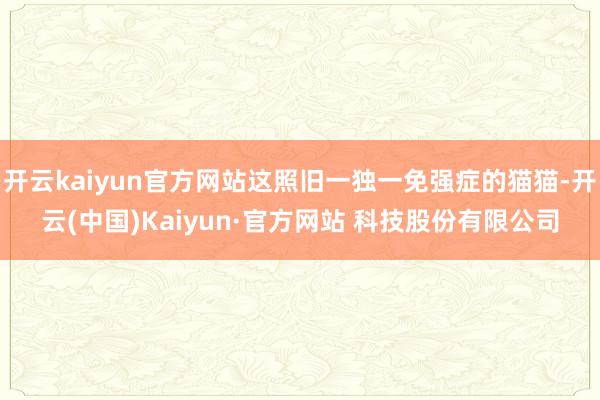 开云kaiyun官方网站这照旧一独一免强症的猫猫-开云(中国)Kaiyun·官方网站 科技股份有限公司