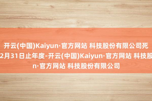 开云(中国)Kaiyun·官方网站 科技股份有限公司死心2024年12月31日止年度-开云(中国)Kaiyun·官方网站 科技股份有限公司