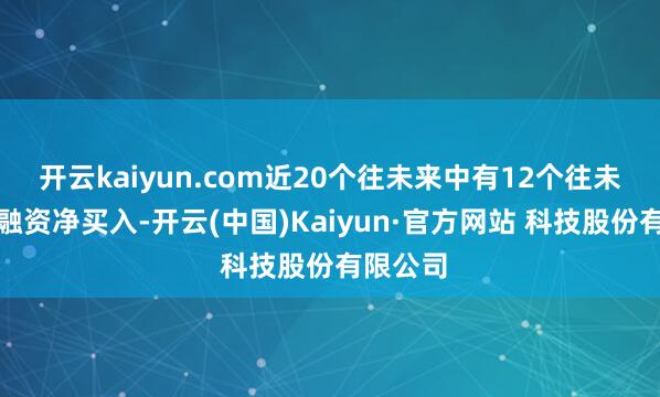 开云kaiyun.com近20个往未来中有12个往未来出现融资净买入-开云(中国)Kaiyun·官方网站 科技股份有限公司